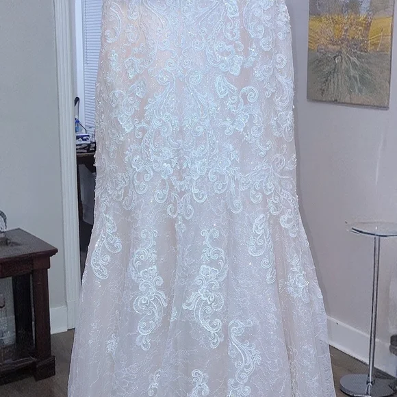 Elegant Cream Lace Wedding Dress - Picture 8 of 10